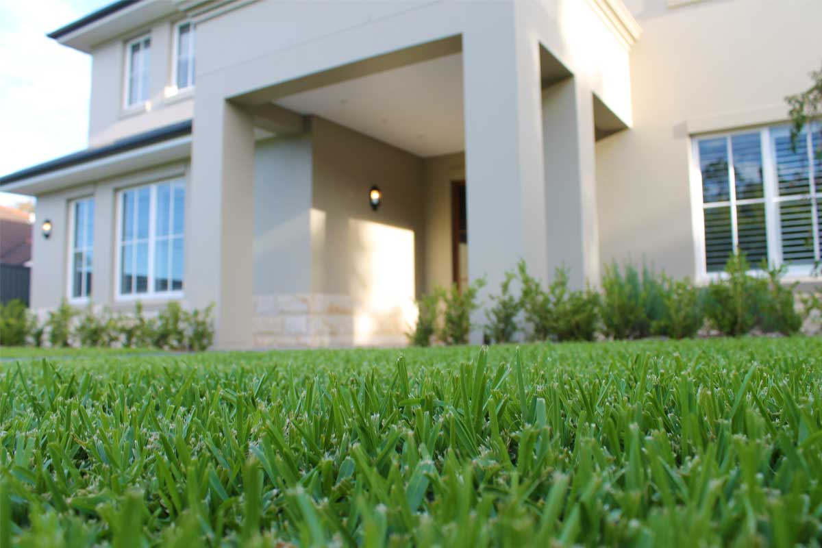 Landscaping Emu Plains Lawn and Front Garden