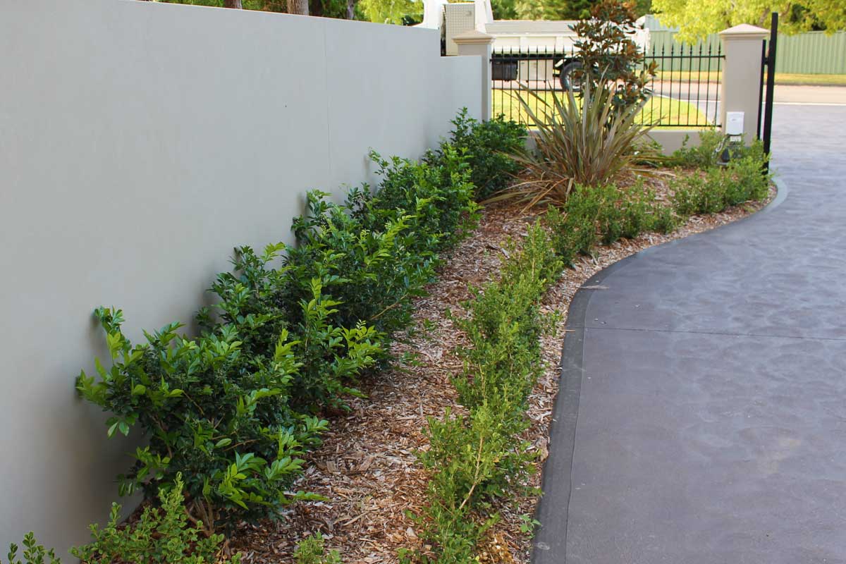 Landscaping Emu Plains Driveway Garden