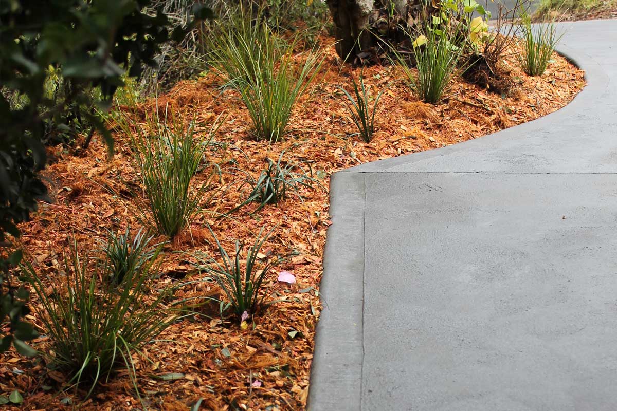 Landscaping Springwood Driveway Gardens