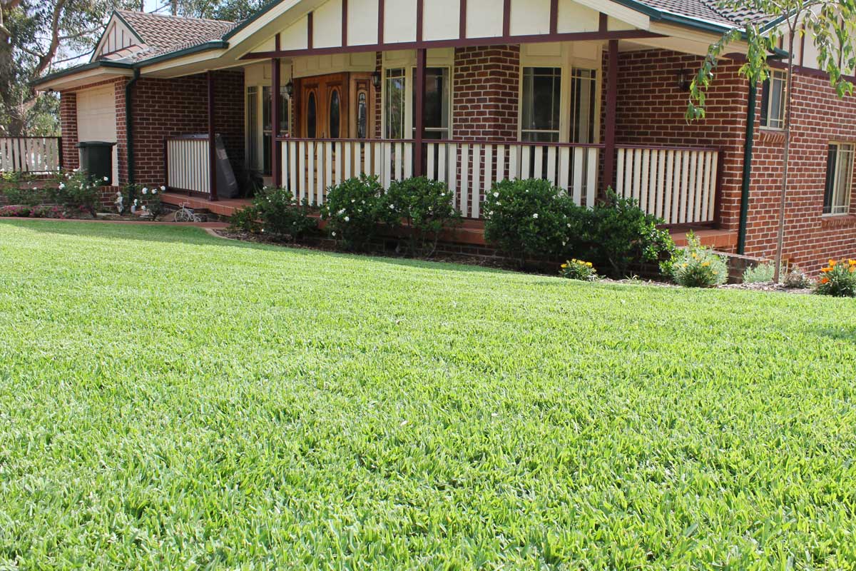 Landscaping Blaxland Lawns