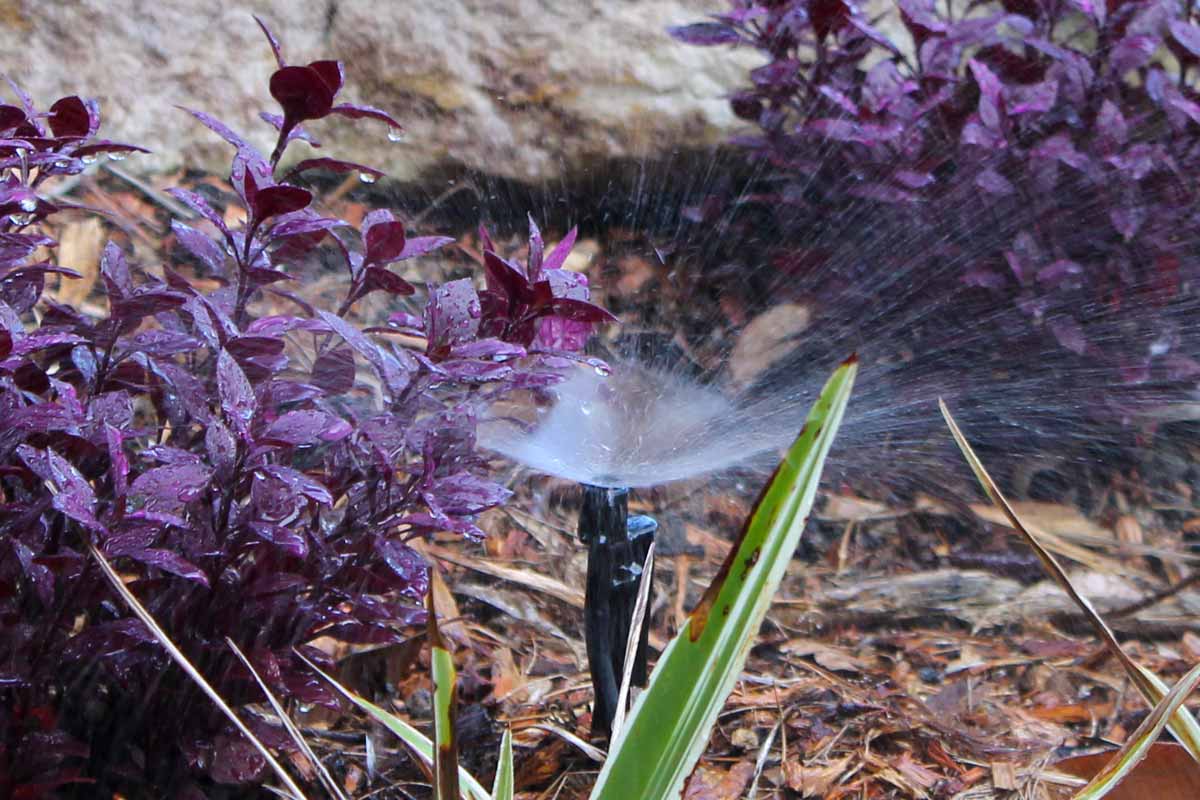 Landscaping Irrigation