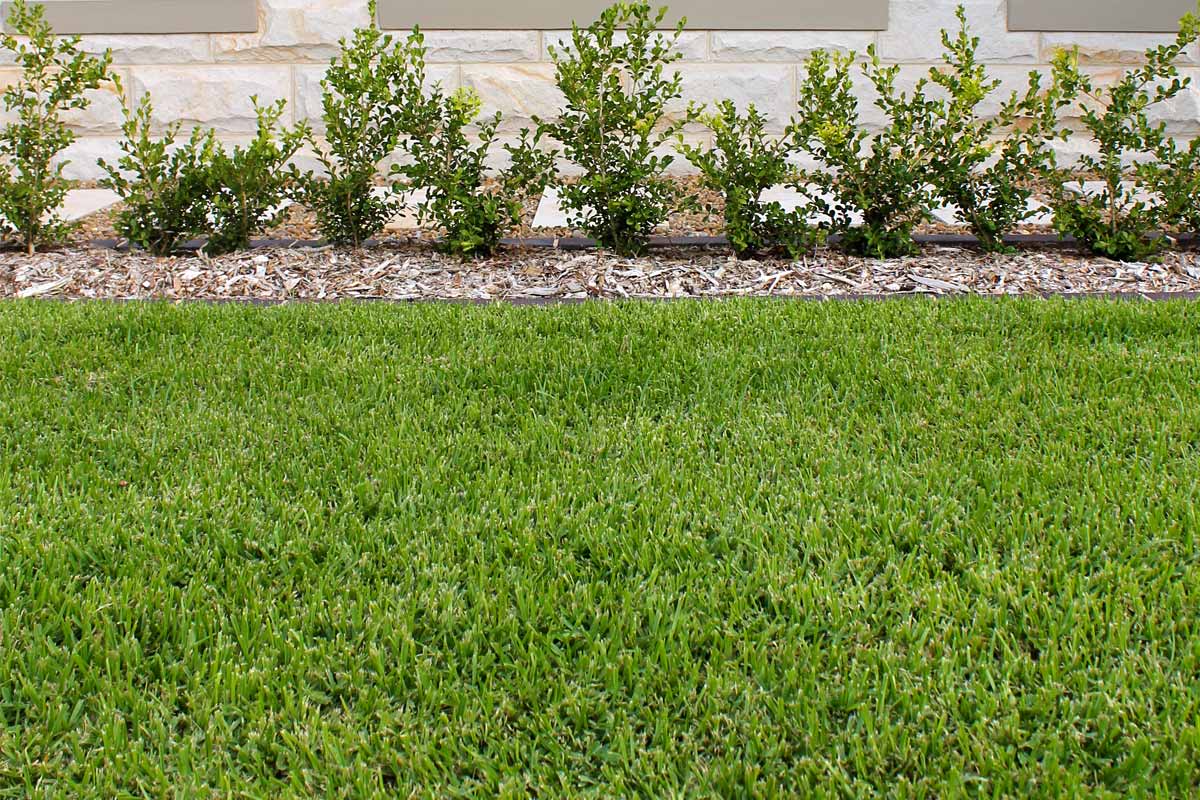 Landscaping Lawns and Turfing