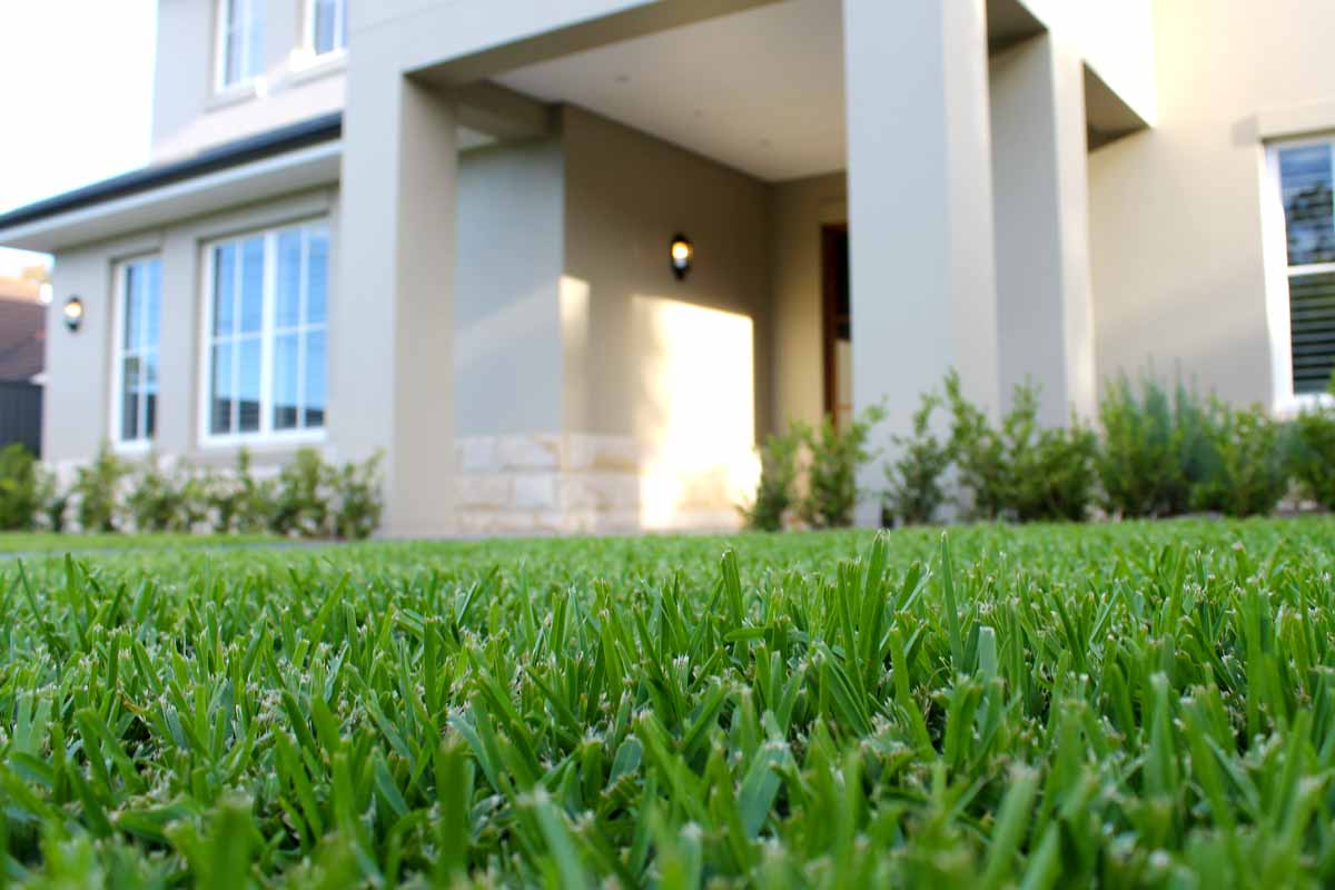 Landscaping Lawns and Turfing