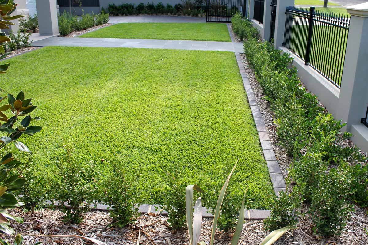 Landscaping Lawns and Turfing