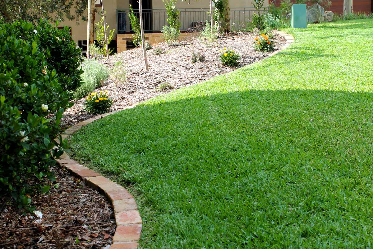 Landscaping Lawns and Turfing