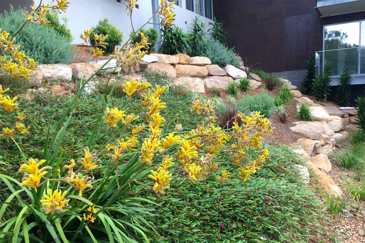 Landscaping Retaining Walls Sandstone Boulders