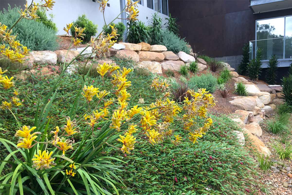 Emu Heights Sandstone Retaining Wall Garden